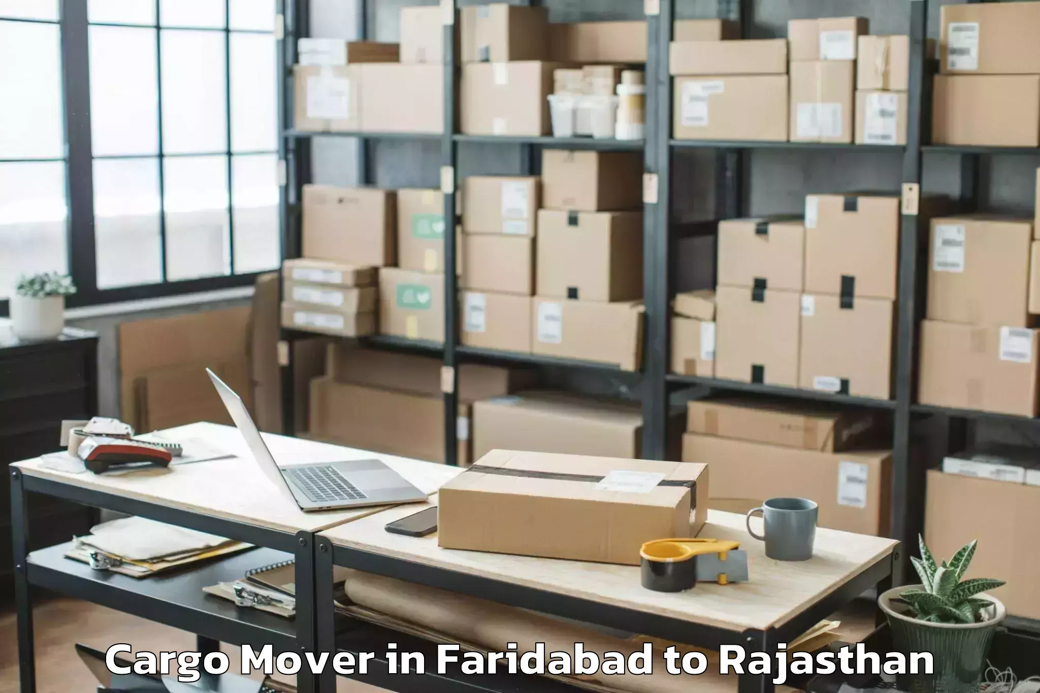 Book Faridabad to Dausa Cargo Mover